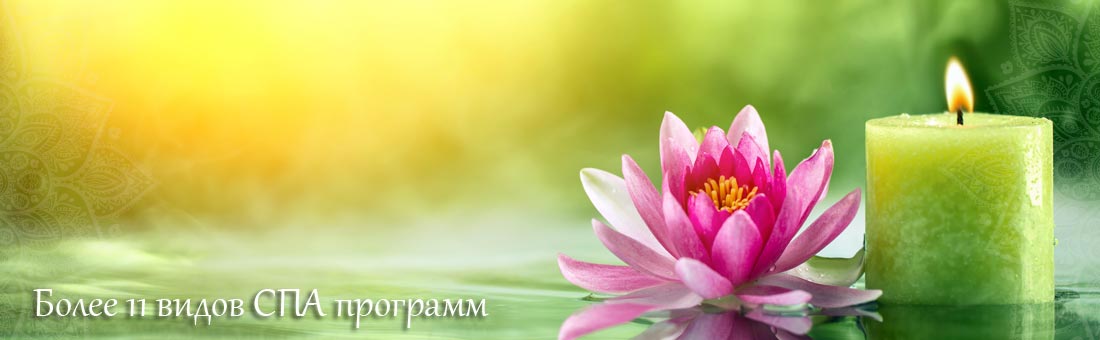 Более 11 видов СПА процедур