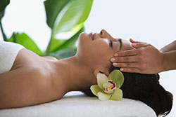 Программа «Путешествие в Нирвану» - хит салона Diva lounge Программа «Путешествие в Нирвану» - хит салона Diva lounge